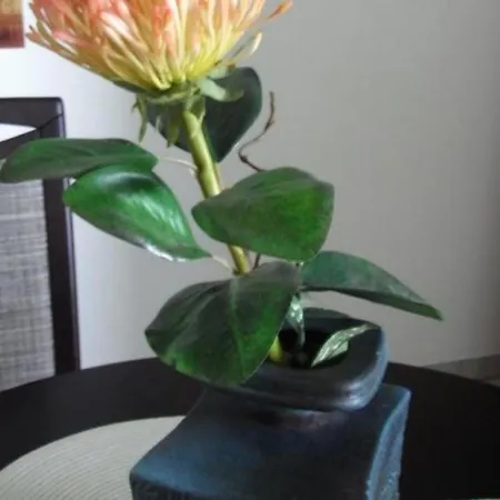 Doeser Seedeich 7, Sd2 Apartamento